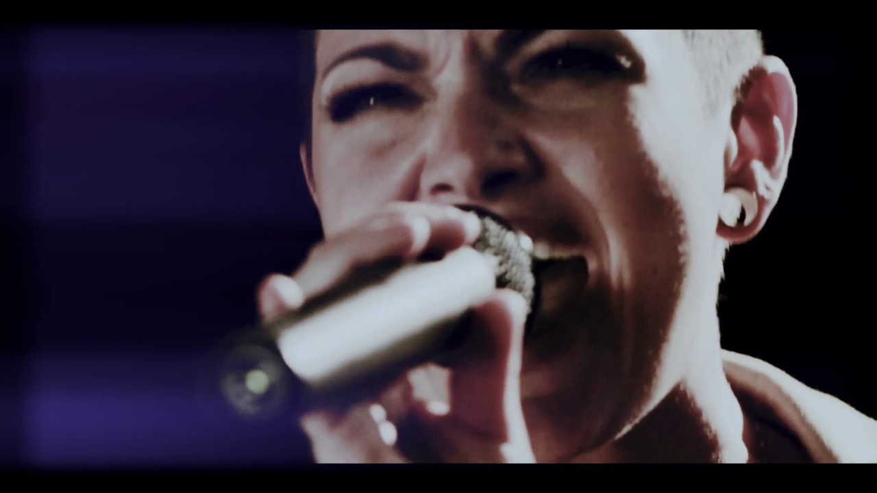 Wonderfuzz Modern Medley