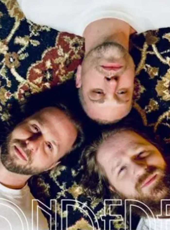 Book Wonderfuzz Band for Your Event Live Wedding & Event Band Kansas City