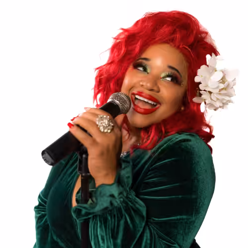 Book Winter Wonder Band for Your Event Live Wedding & Event Band Nationwide Book Winter Wonder Band for Your Event Live Wedding & Event Band Nationwide